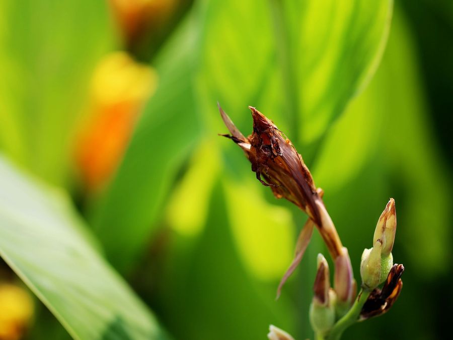 ��䓳���Է�����x