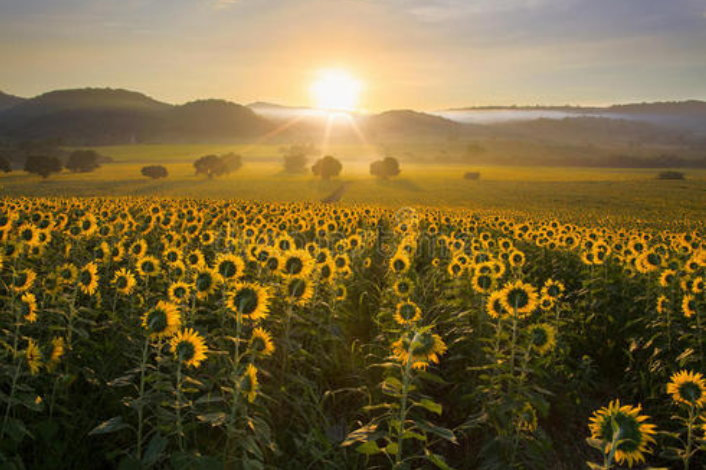 ��䓳���Է������һ�N�ڴ�