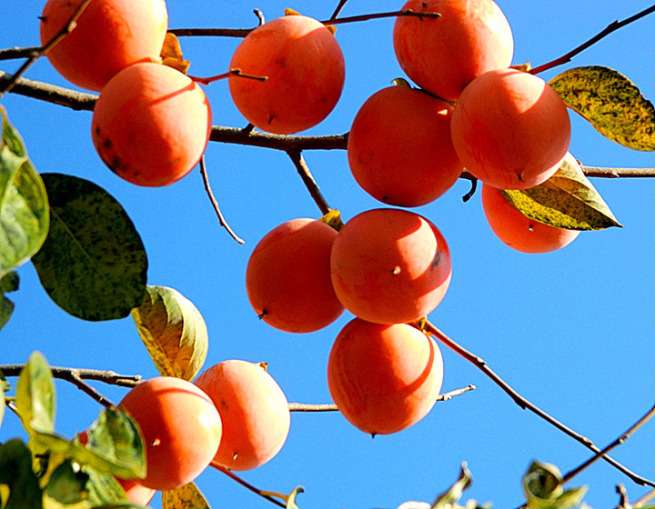 ��䓳���Է������q�q�����t