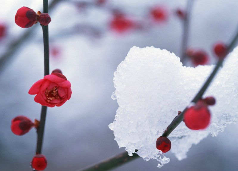 ��䓳���Է������ٝ��