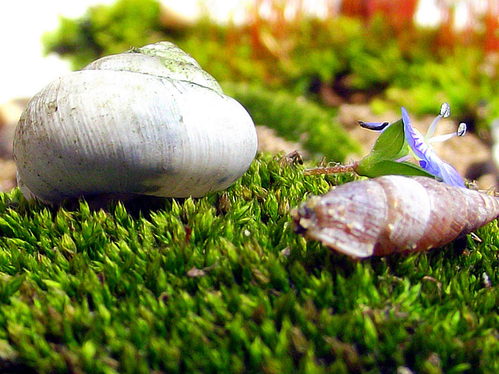 【鋼城文苑】實習紀實 【鋼城文苑】實習紀實