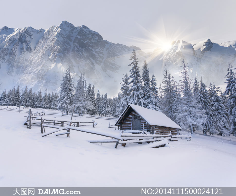 【鋼城文苑】雪 【鋼城文苑】雪