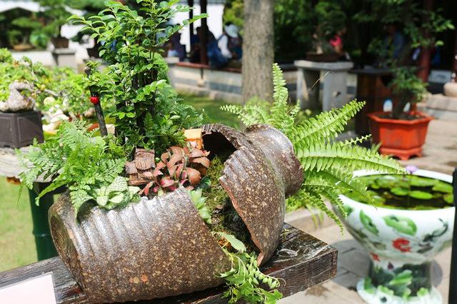 ��䓳���Է���߸�