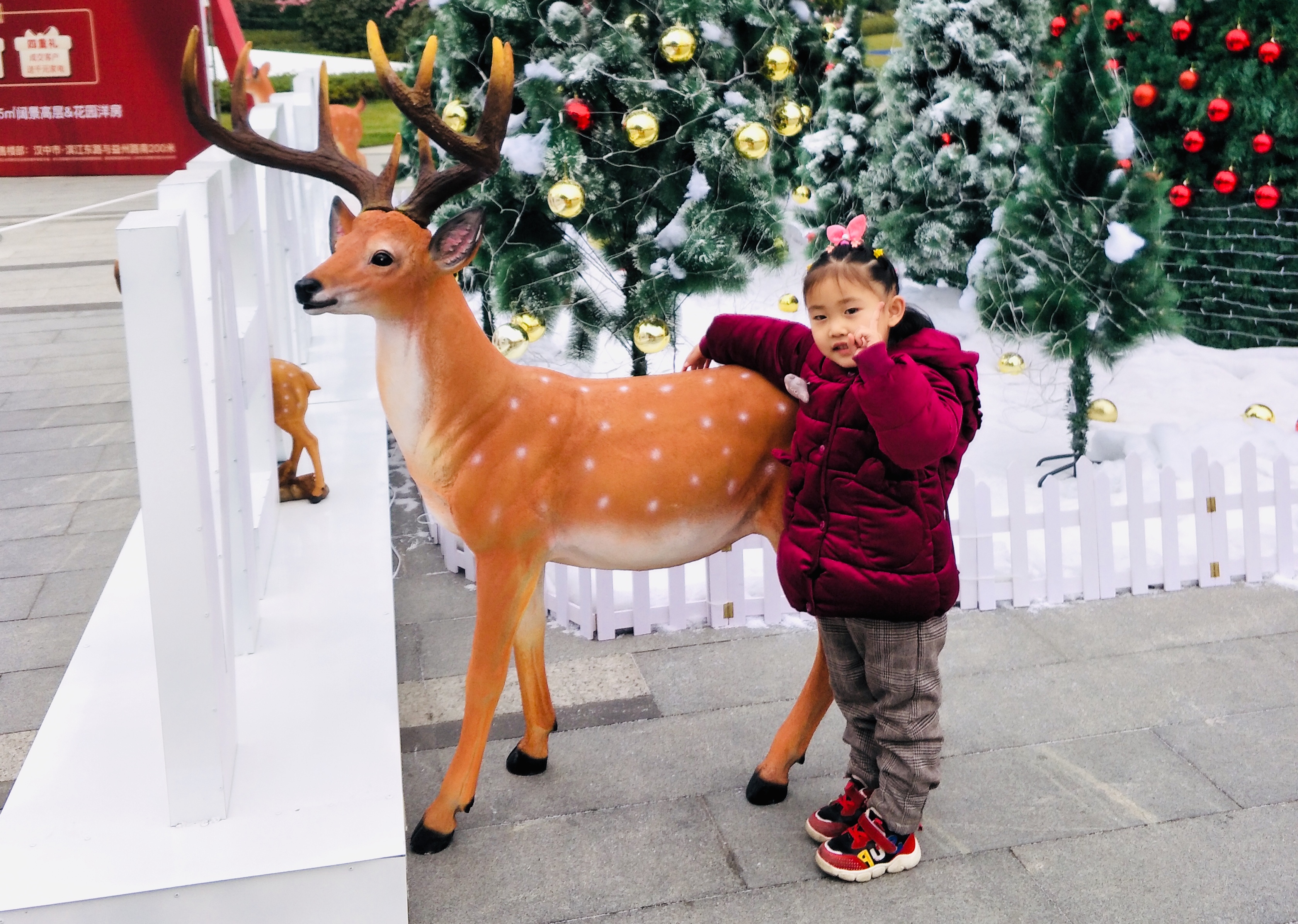 【鋼城文苑】我的“糖”