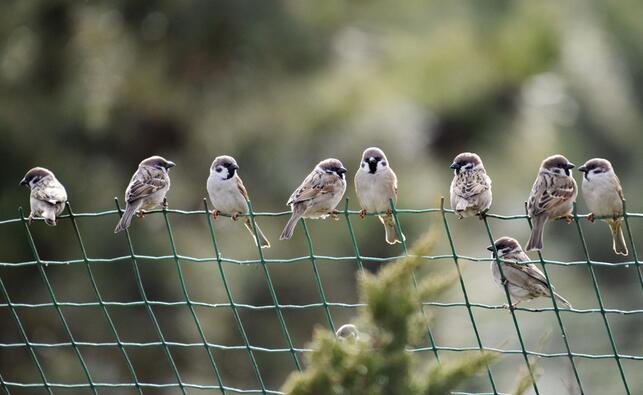 【鋼城文苑】冬日趣事 【鋼城文苑】冬日趣事