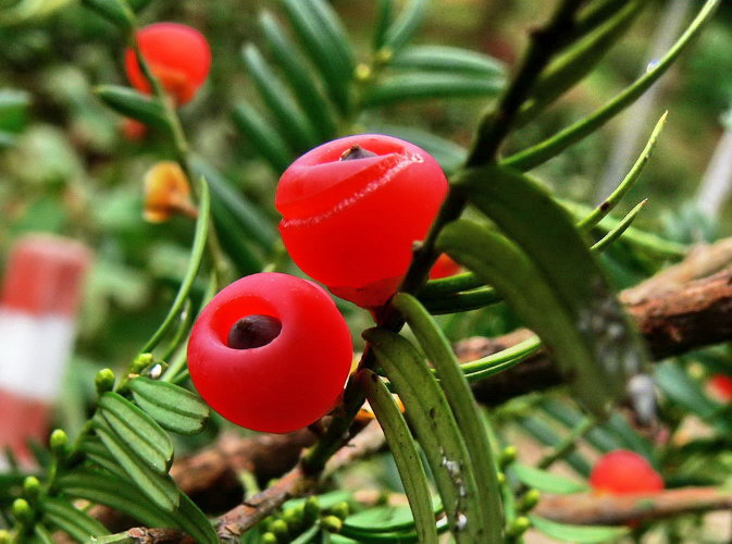 ��䓳���Է���χ��Ķ�