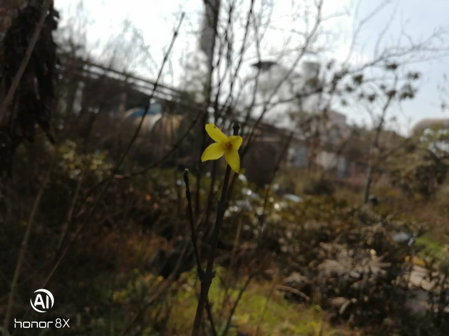 【鋼城文苑】燒結之春 【鋼城文苑】燒結之春