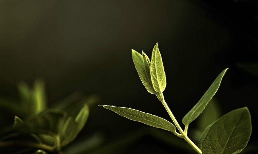 ��䓳���Է���L(f��ng)��֮�󣬽K��ϣ��