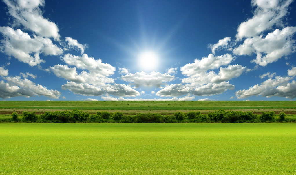 【鋼城文苑】奔跑在陽光下 【鋼城文苑】奔跑在陽光下