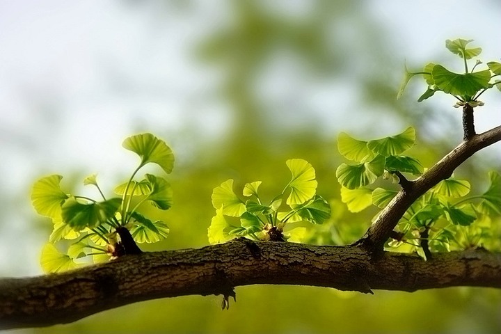 ��䓳���Է������