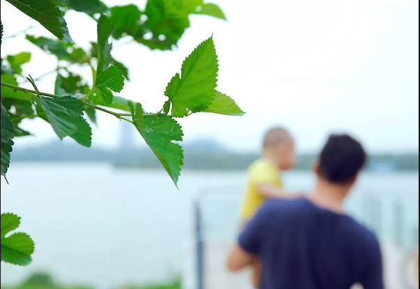 ��䓳���Է���x�x�㣬2019��ů�˝h�