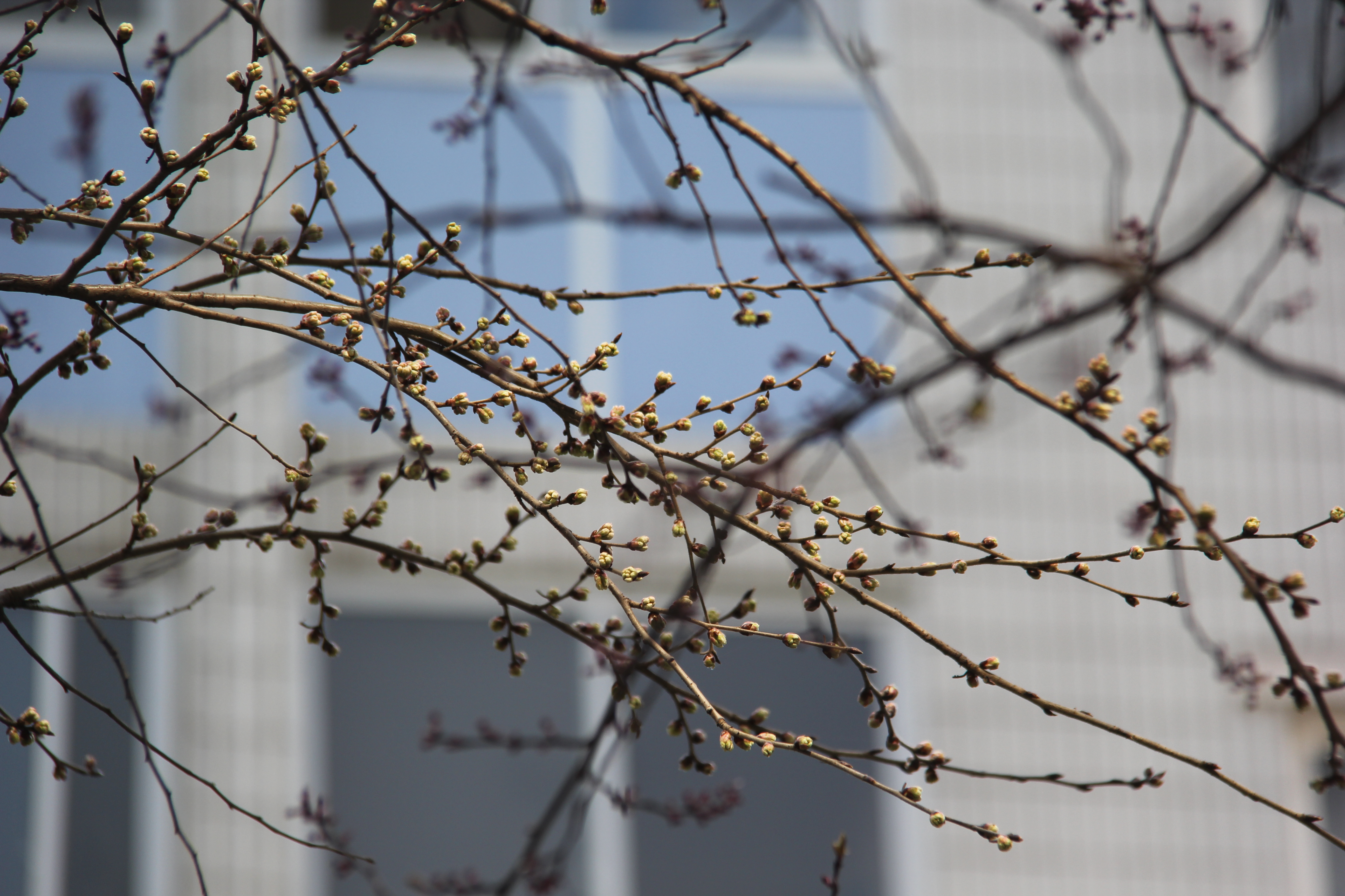 【美麗漢鋼】沒有一個冬天不可逾越 沒有一個春天不會到來 【美麗漢鋼】沒有一個冬天不可逾越 沒有一個春天不會到來