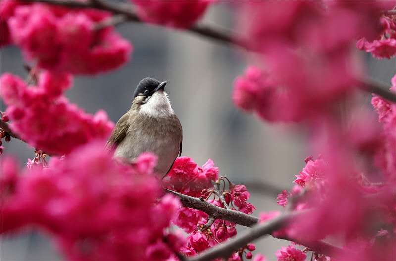 ��䓳���Է������䓳�