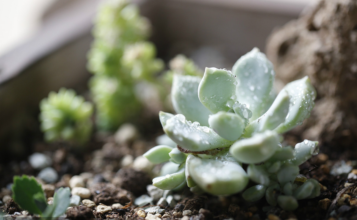 ��䓳���Է������ӛ