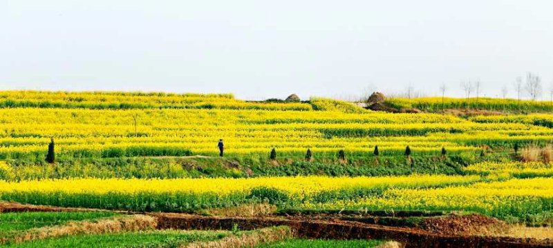 ��䓳���Է������������@�������Ђ��s��