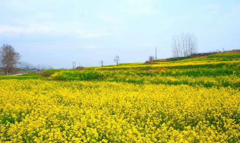 ��䓳���Է������������@�������Ђ��s��