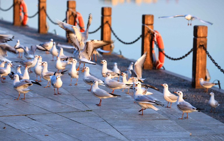 ��䓳���Է������������@�������Ђ��s��