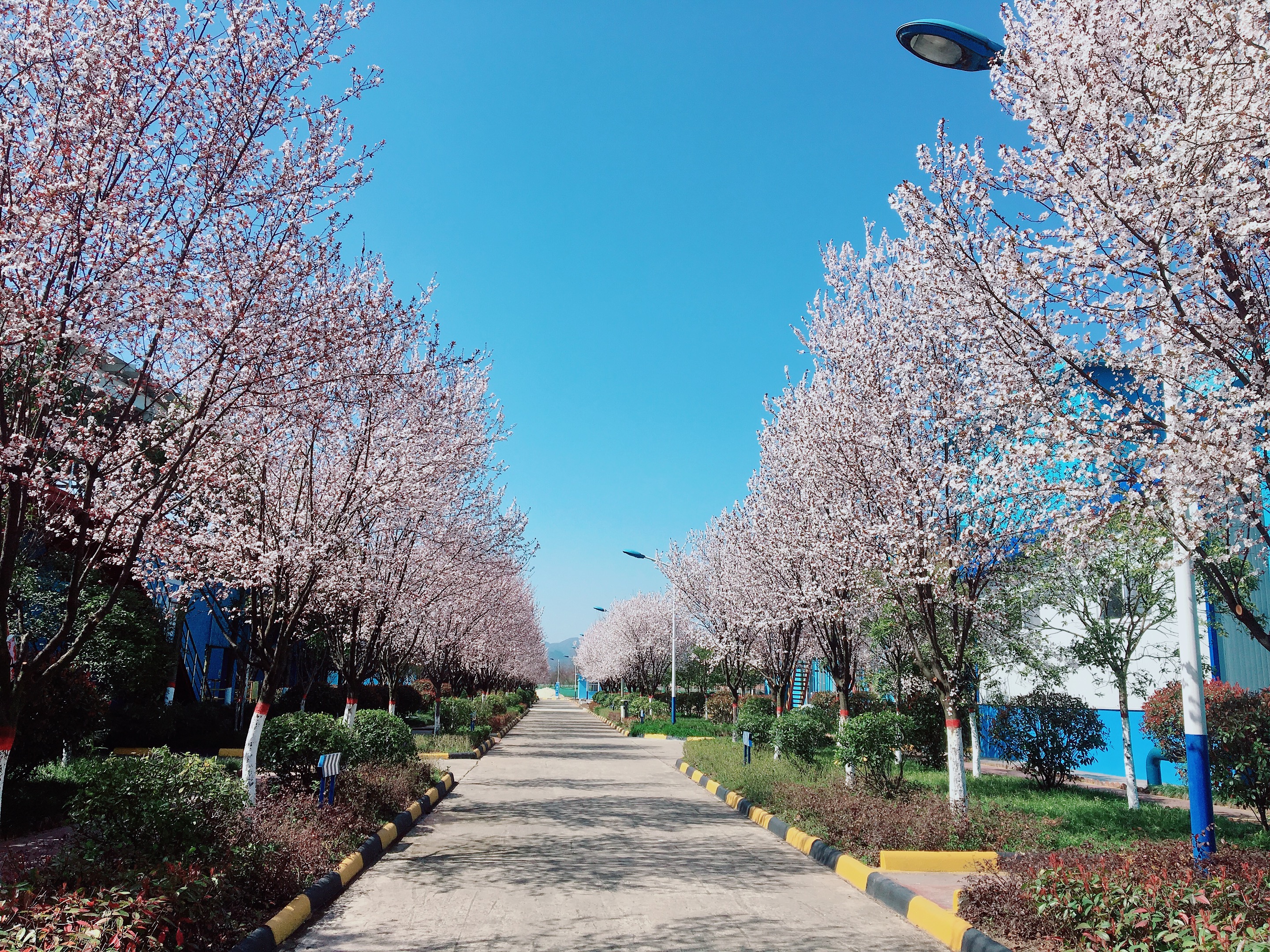 【鋼城文苑】你見過這么美的鋼廠嗎? 【鋼城文苑】你見過這么美的鋼廠嗎?