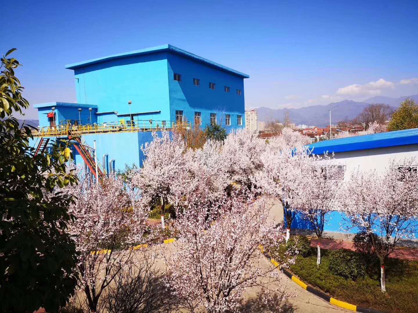 ��䓳���Է���h䓵Ĵ��죬һ��һ��