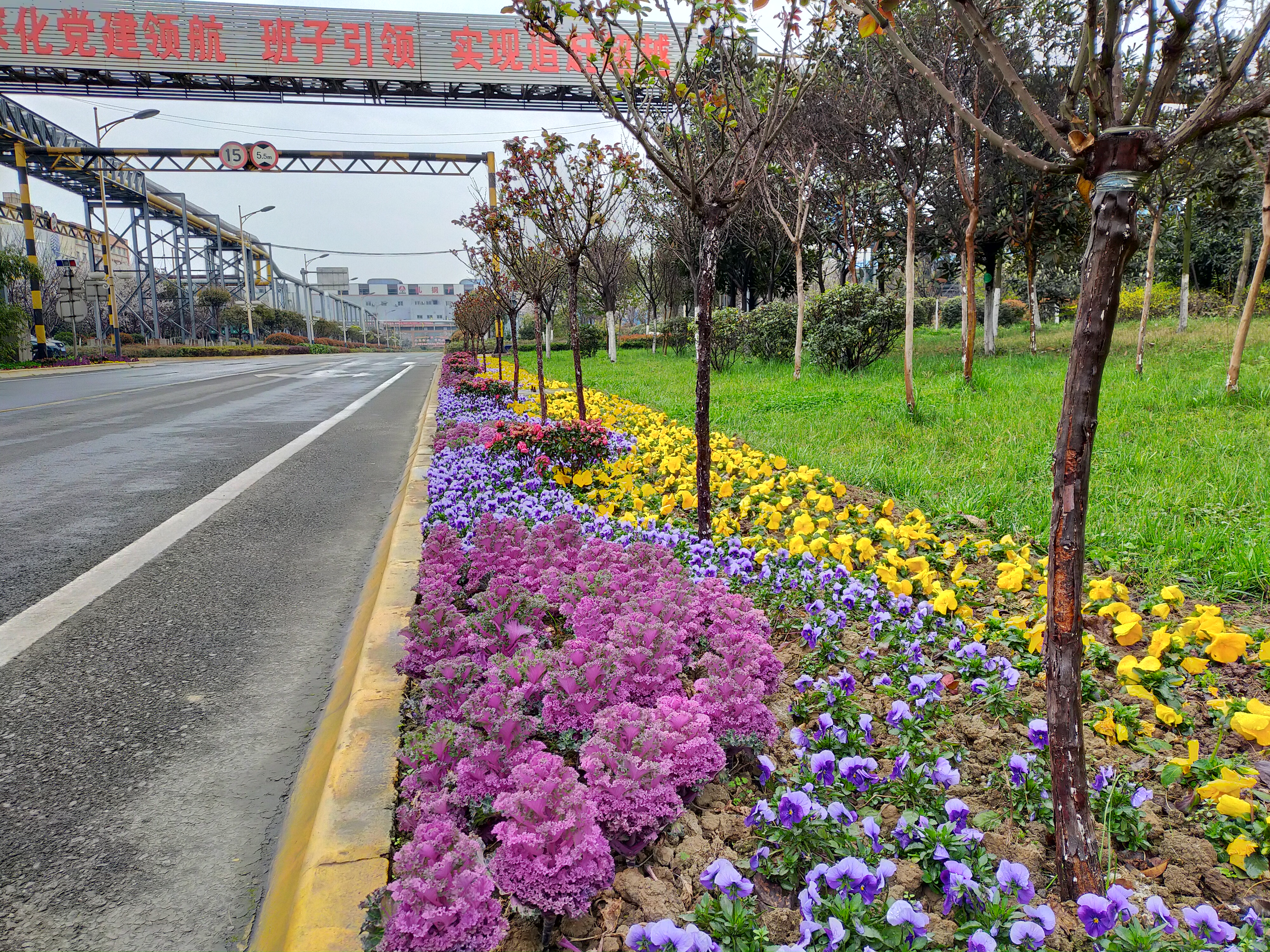 【美麗漢鋼】漢鋼踏春賞花圖鑒 【美麗漢鋼】漢鋼踏春賞花圖鑒