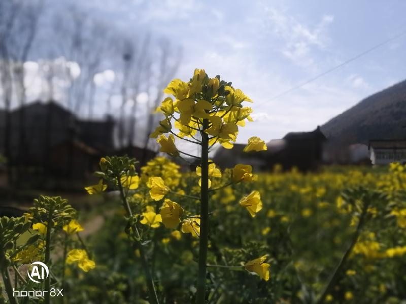 ��䓳���Է����ů���_