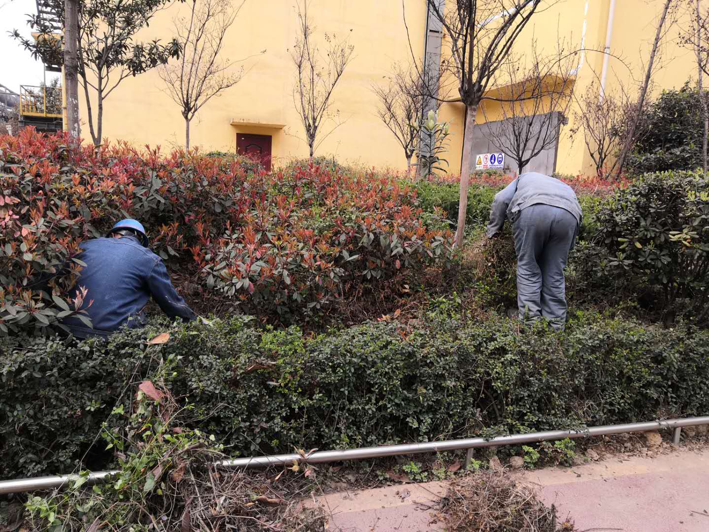 【美麗漢鋼】公司春季綠化美化工作開展如火如荼 【美麗漢鋼】公司春季綠化美化工作開展如火如荼