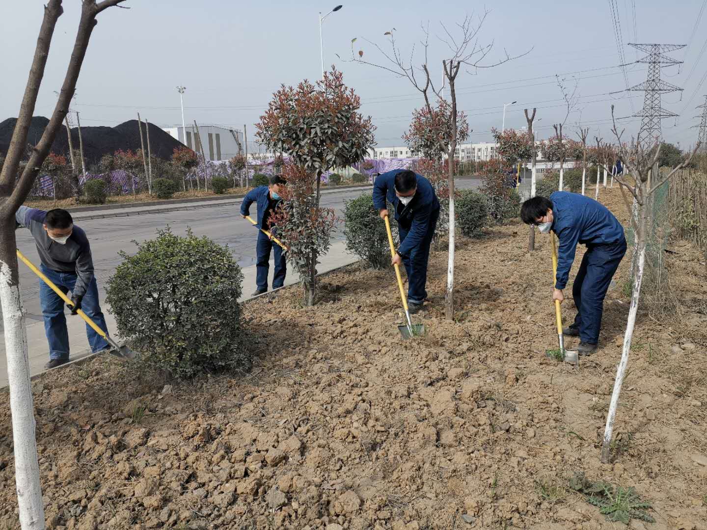 【美麗漢鋼】公司春季綠化美化工作開展如火如荼 【美麗漢鋼】公司春季綠化美化工作開展如火如荼