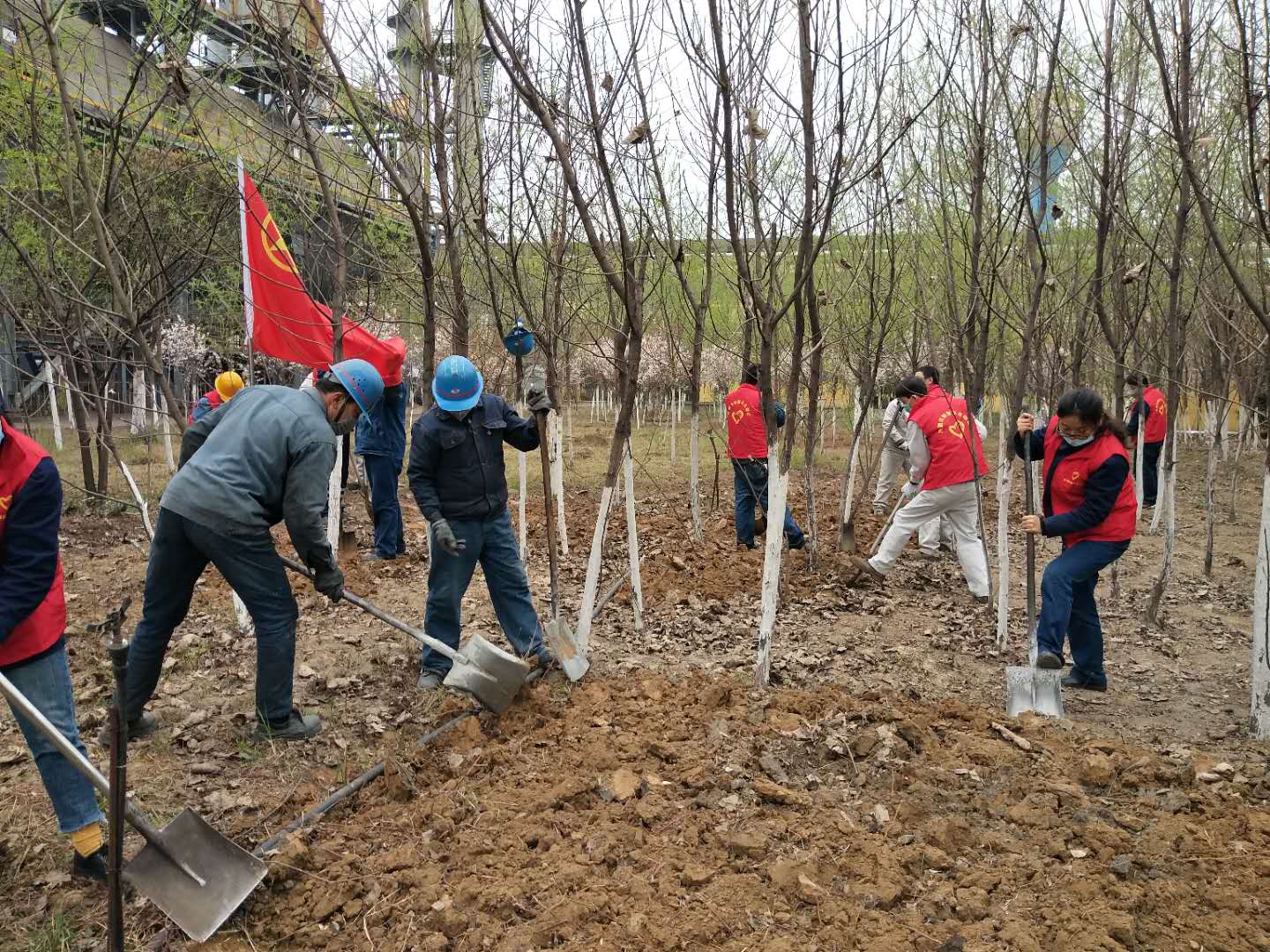 【美麗漢鋼】公司春季綠化美化工作開展如火如荼 【美麗漢鋼】公司春季綠化美化工作開展如火如荼