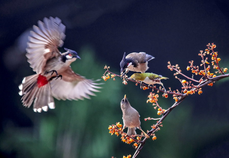 【鋼城文苑】在這不尋常的春天里 【鋼城文苑】在這不尋常的春天里