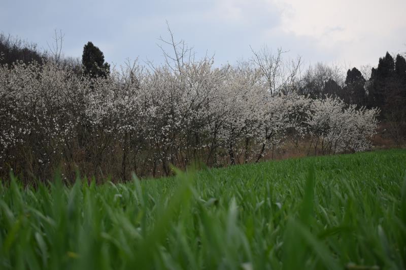 ��䓳���Է����̤��