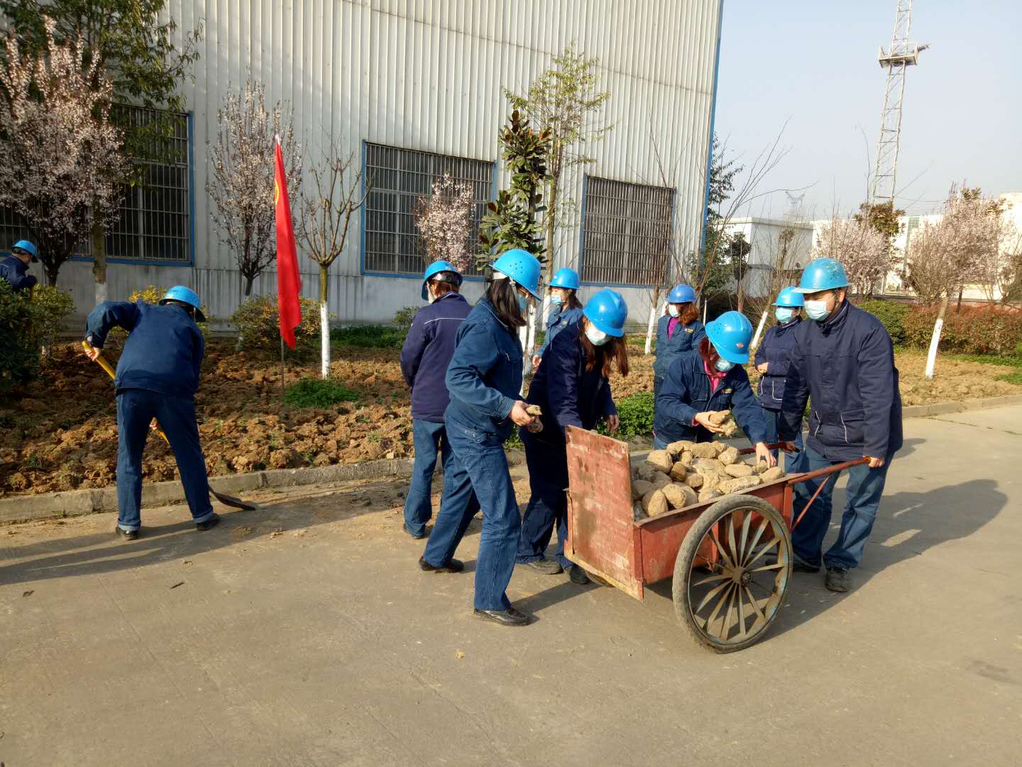 【美麗漢鋼】植樹節(jié),我們在行動 【美麗漢鋼】植樹節(jié),我們在行動