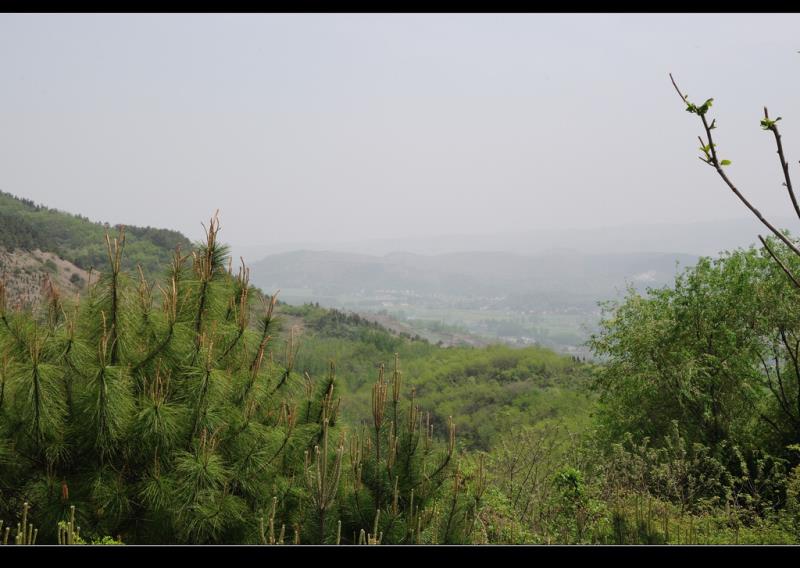 【鋼城文苑】定軍山游記 【鋼城文苑】定軍山游記