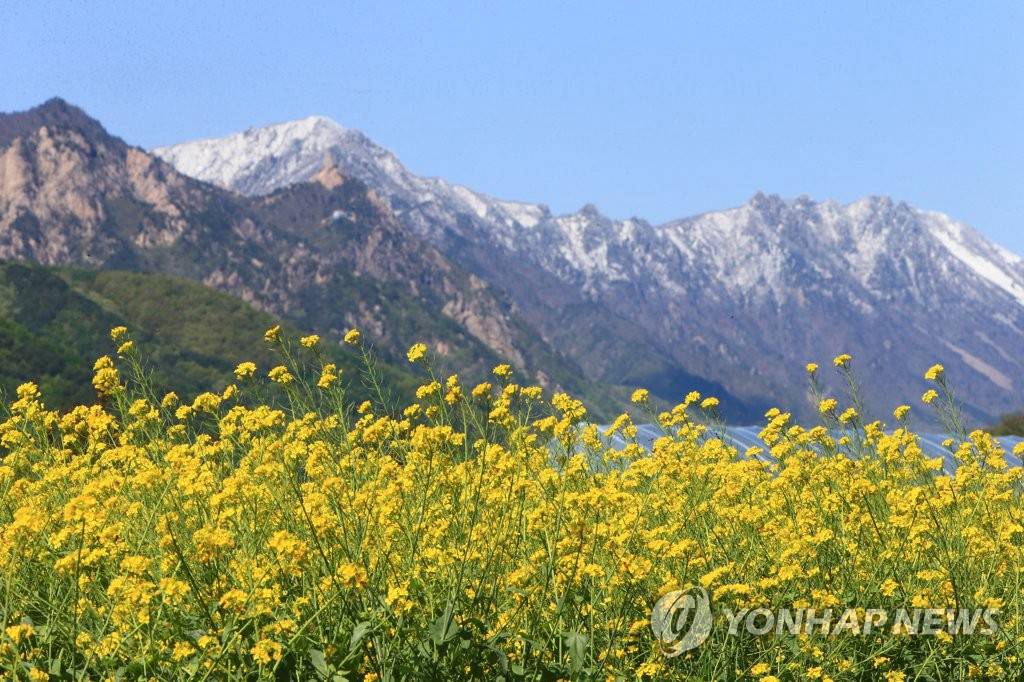 ��䓳���Է������