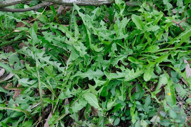 ��䓳���Է���ҵ��j����