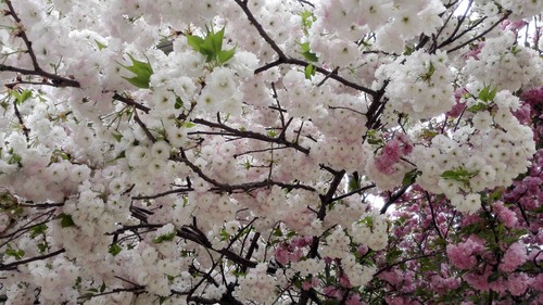 ��䓳���Է��ʎ���ڴ���������