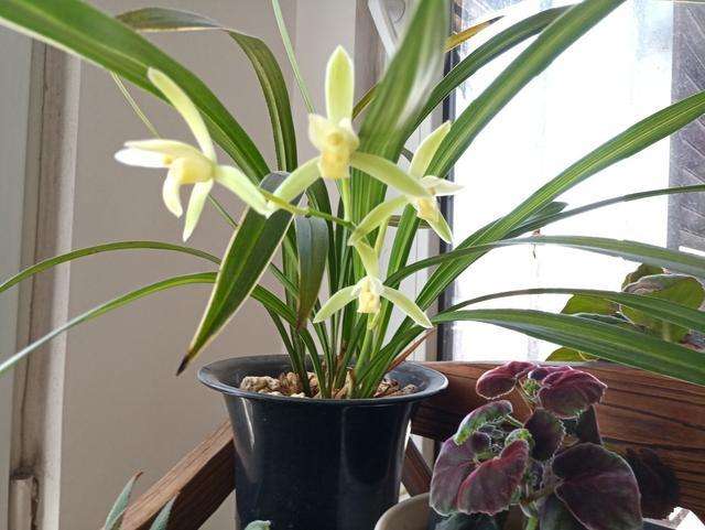 ��䓳���Է��̽��