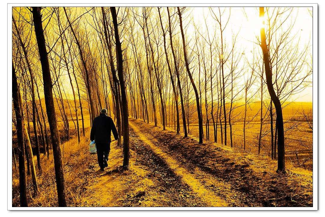 【鋼城文苑】父親