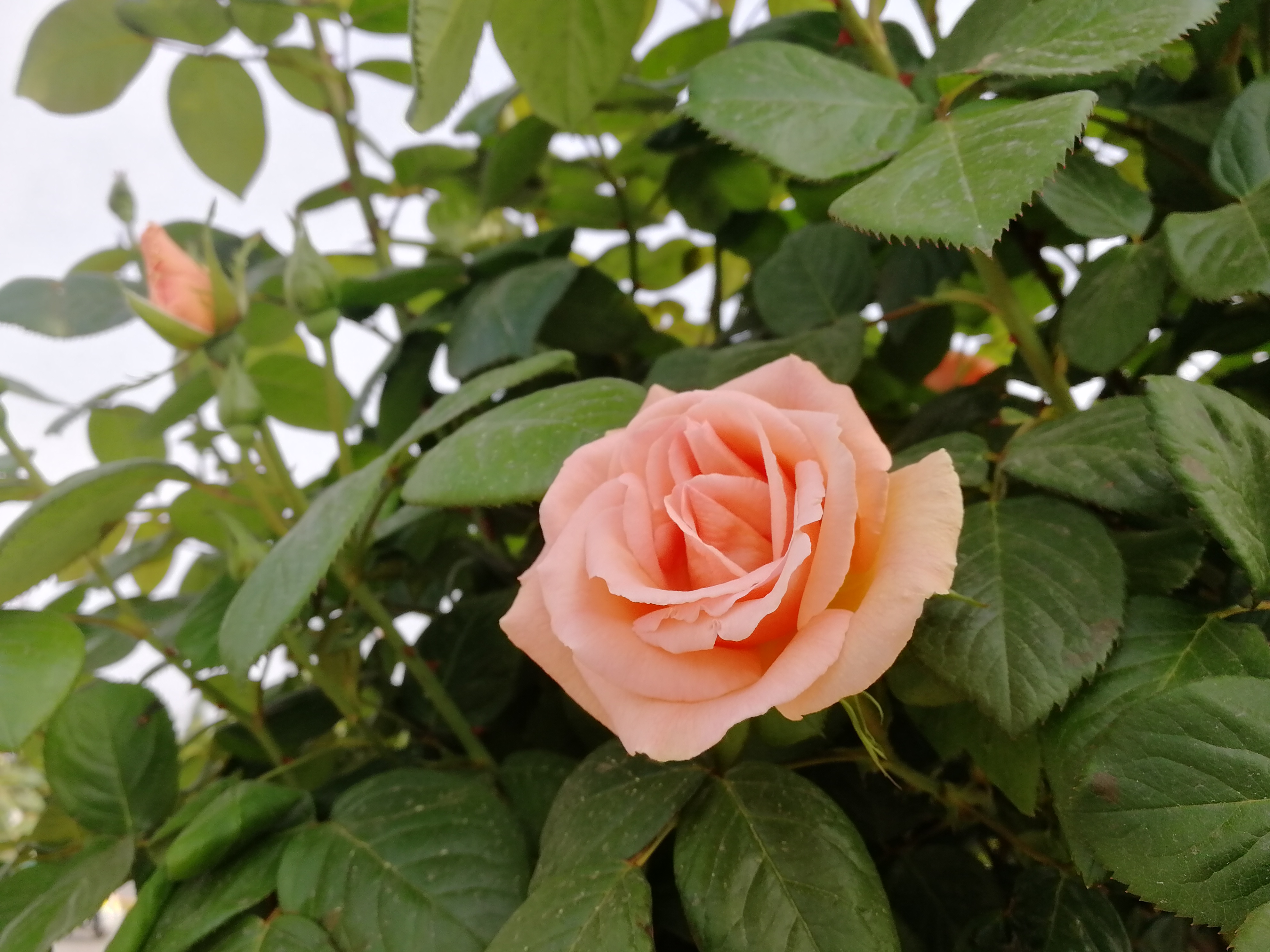 �������h䓡��p�ߗU�¼����������h�