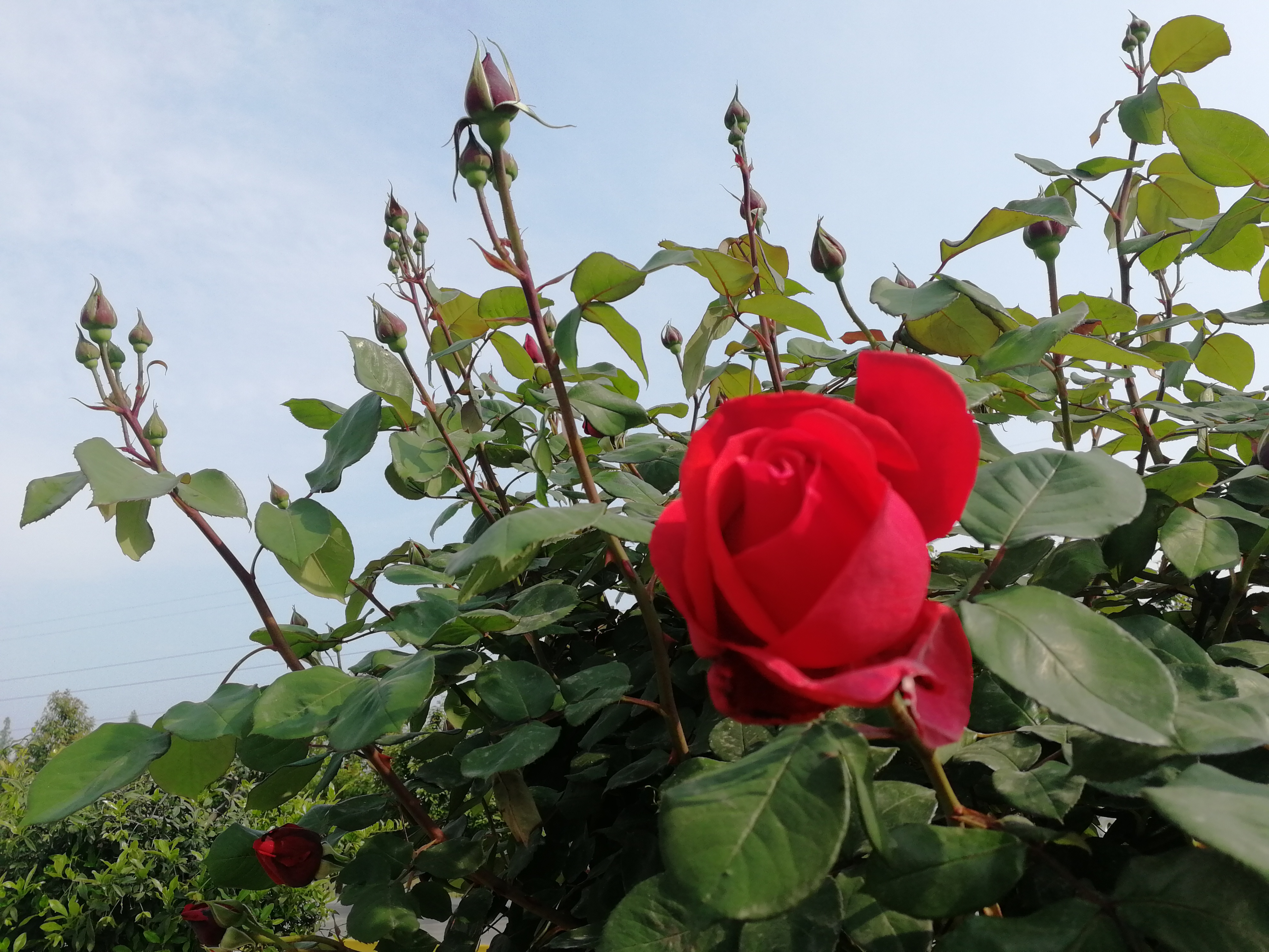 �������h䓡��p�ߗU�¼����������h�