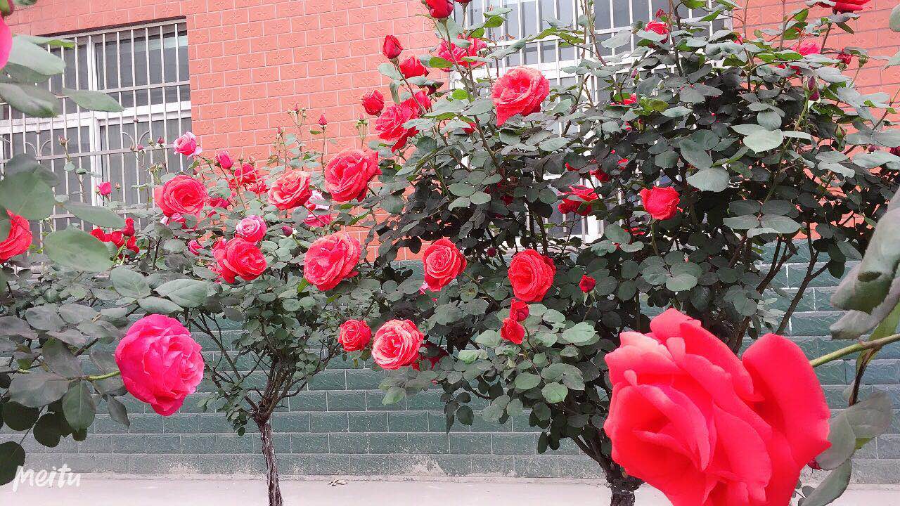 ��䓳���Է��ʢ���¼�  �Wҫ䓳�