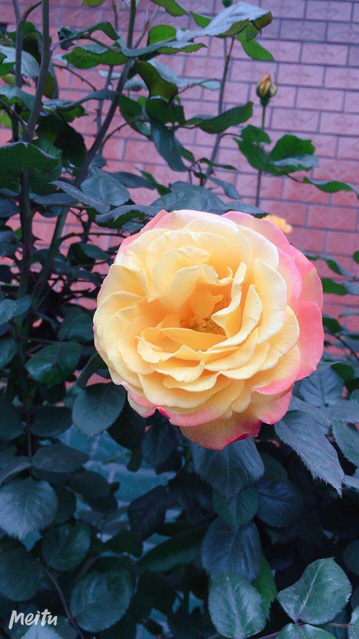 ��䓳���Է��ʢ���¼�  �Wҫ䓳�