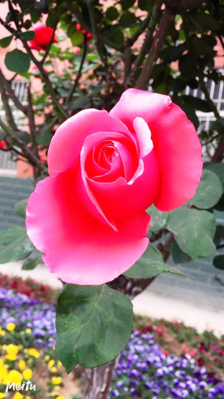 ��䓳���Է��ʢ���¼�  �Wҫ䓳�