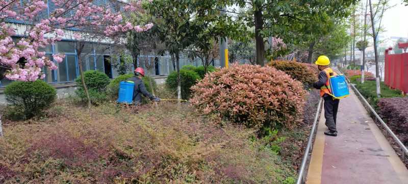 【美麗漢鋼】公司多措并舉 做好春季綠化苗木養護工作 【美麗漢鋼】公司多措并舉 做好春季綠化苗木養護工作