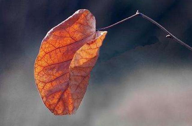 【鋼城文苑】安全之我見 【鋼城文苑】安全之我見