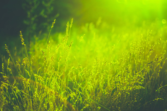 【鋼城文苑】春語 【鋼城文苑】春語