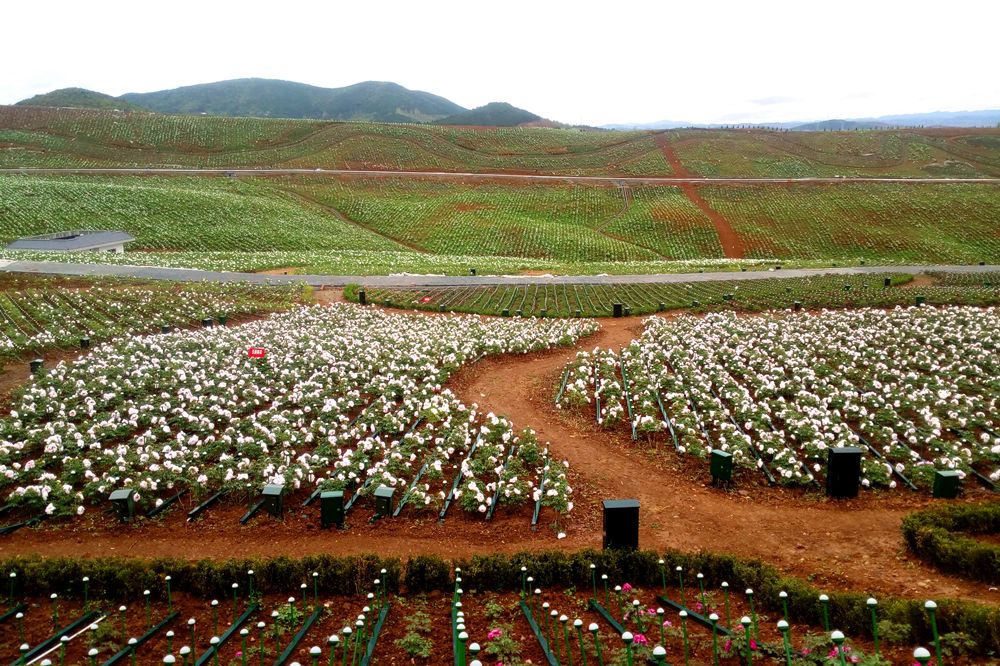 ��䓳���Է���������\ ��һ��(ch��ng)ĵ��֮�s