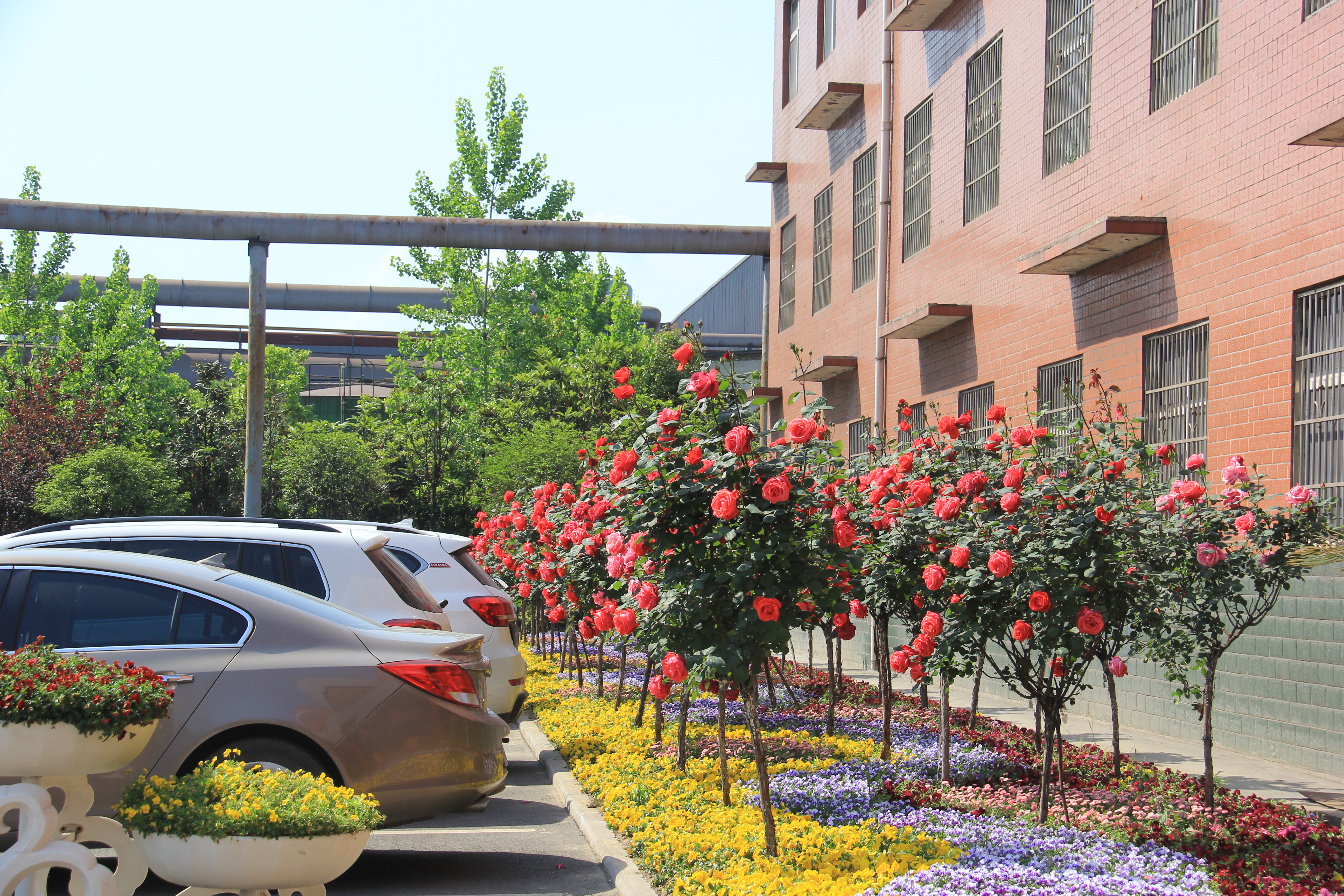 【美麗漢鋼】醉美漢鋼四月天 【美麗漢鋼】醉美漢鋼四月天