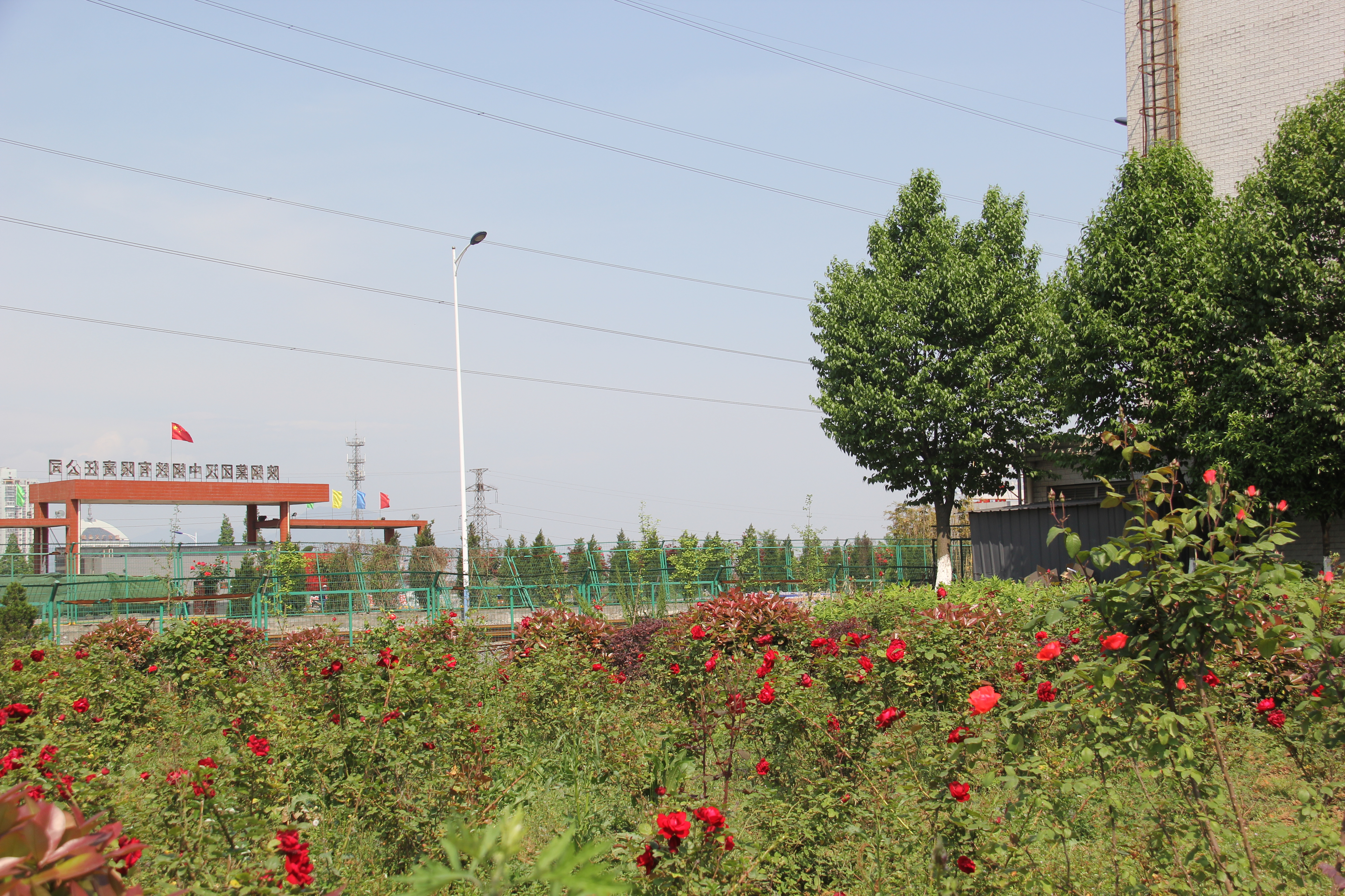 【美麗漢鋼】醉美漢鋼四月天 【美麗漢鋼】醉美漢鋼四月天