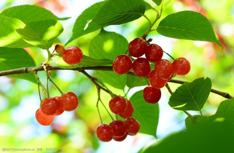 ��䓳���Է������֮��