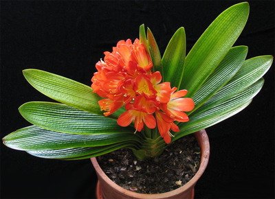 ��䓳���Է��һ�|�m������h